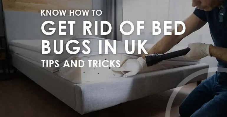 Know How To Get Rid Of Bed Bugs In Uk - Tips And Tricks – The Bed Crafters