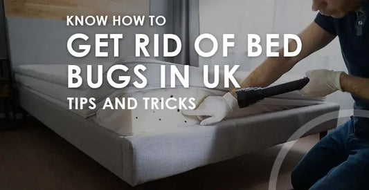 how to get rid of bed bugs